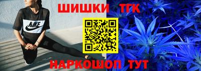 индика Можга