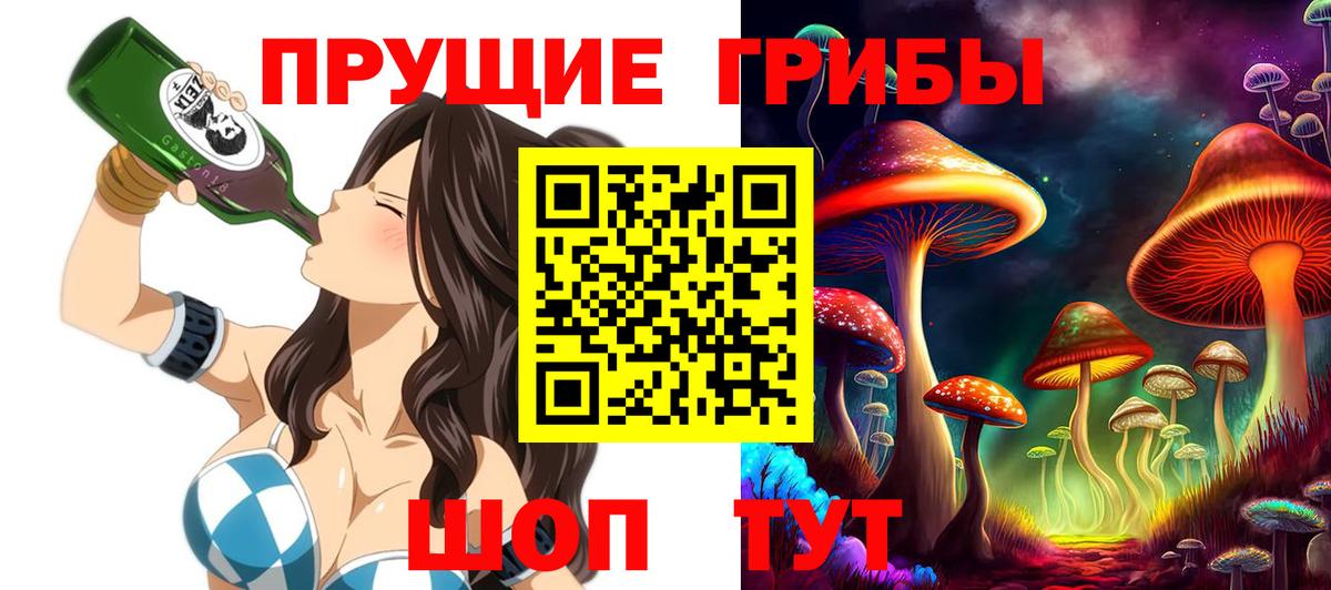 где можно купить   Галлюциногенные грибы ЛСД  Вход с VPN  Черкесск  Псилоцибиновые грибы прущие грибы 